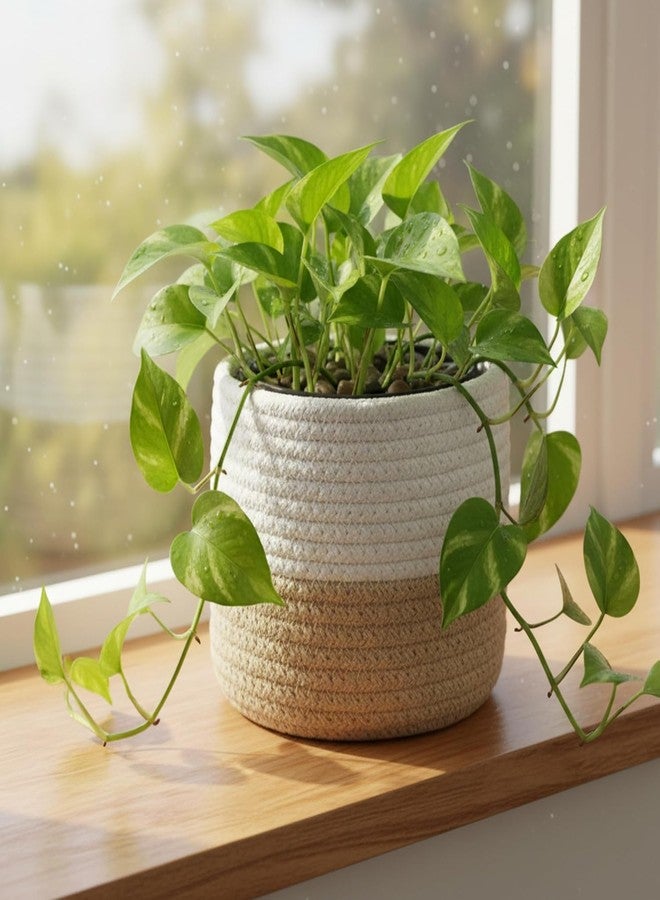 Leazzote Jute Planter Pots/Round Storage Basket With Handle,Multi-Purpose Use For Bathroom Living Room,Kitchen,Office (Small-Combo Pack-3-6x6x6 inches) - Image 2