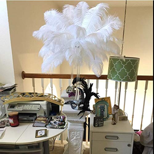 Shekyeon 14-16inch 35-40cm Ostrich Feathers Plumes for Table Decoration Pack of 10 (White) - Image 1