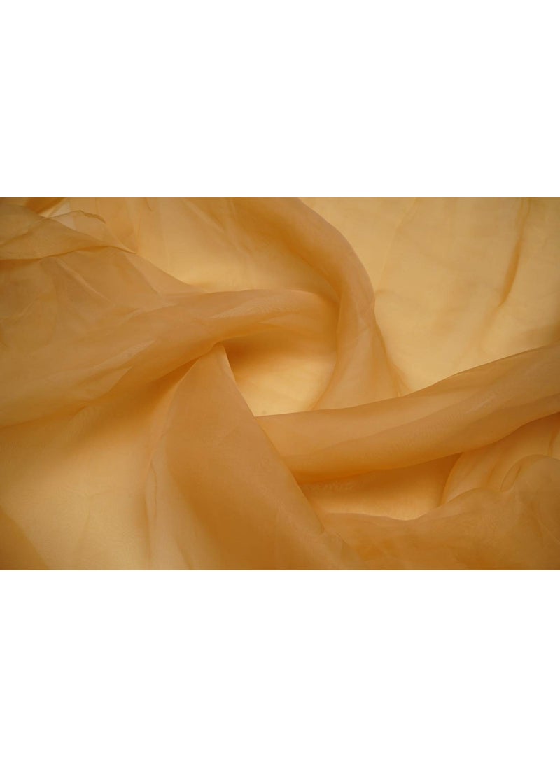Pehnava Fab studio Pehnava Fab studio Tissue Organza Fabric For Dress Cloth Material For Use In Fancy Garments Making Frocks Dresses And Also Wrapping Party Wedding DecorationsPeru2 Meter Solid Beige  - Image 1