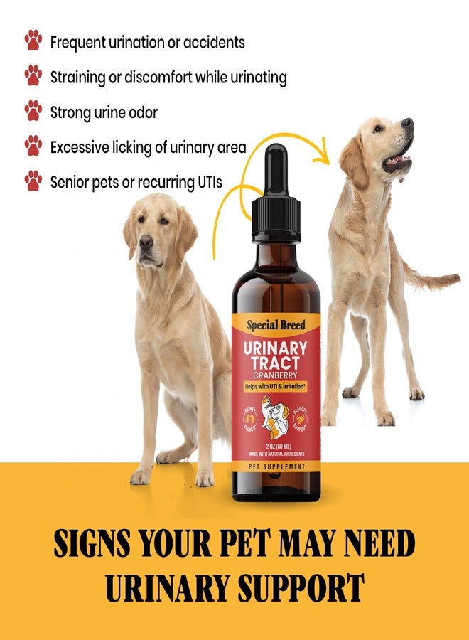 Special Breed Cat & Dog Urinary Tract Infection Treatment – Natural UTI Relief with Cranberry Drops – Kidney & Bladder Support – Helps Incontinence, Frequent Urination, Bladder Stones – Pet Renal Care Drops - Image 4