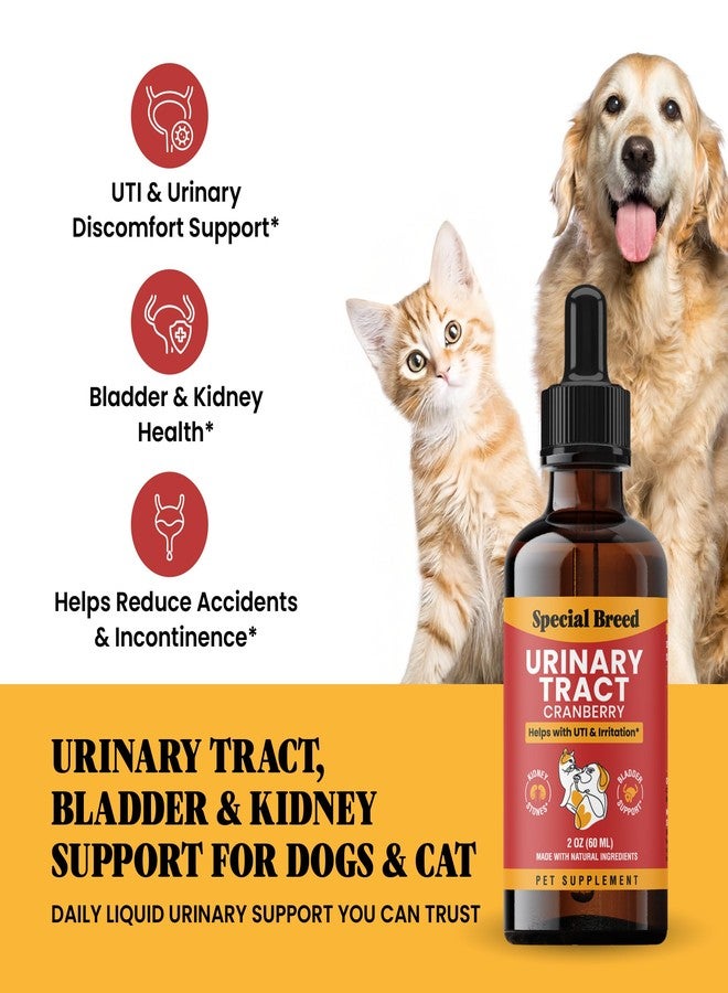 Special Breed Cat & Dog Urinary Tract Infection Treatment – Natural UTI Relief with Cranberry Drops – Kidney & Bladder Support – Helps Incontinence, Frequent Urination, Bladder Stones – Pet Renal Care Drops - Image 2