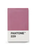 Pantone Aubergine