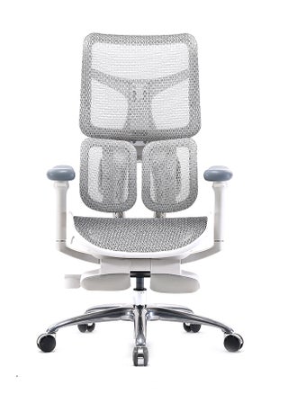 S100 Ergonomic Pro Gaming/Office Chair with Ultra Soft Armrest, Dynamic Lumbar Support, Seat Depth Adjustment, Adjustable Backrest, Light Grey - pzsku/Z3F14DA42677EE4BF608BZ/45/1746239342/49e40ac4-af16-457f-ba63-6022c7bf8ef7