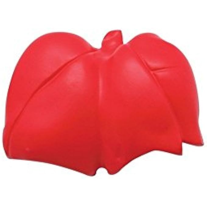 Lungs Stress Toy