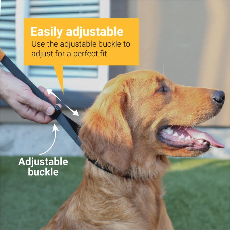 SVD.PET Dog Prong Collar for No-Pull Training, Quick-Release Buckle Adjustable Pinch Collar for Smal, Medium, Large Dogs (Balck, Medium Size) - Image 3
