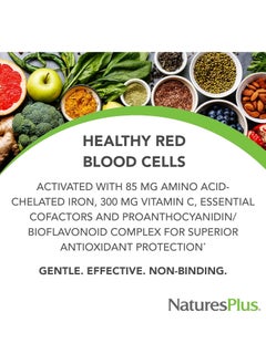 Nature's Plus Hema-Plex Dietary Supplement - 30 Tablets  - Image 3