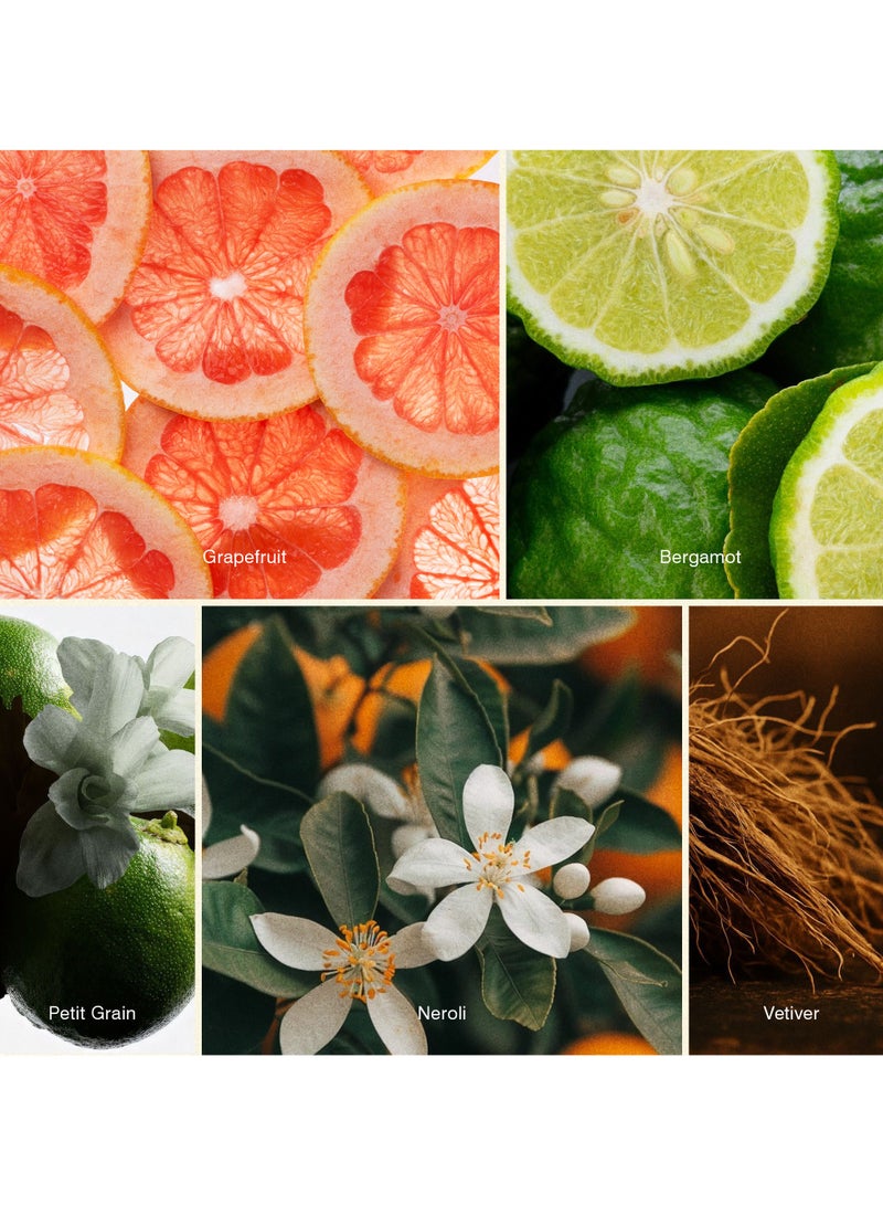 ISCENT | Aromatic – Fragrance Oil Refill for Ensō Mini Diffuser 10ml | Grapefruit, Neroli & Vetiver for Home & Car | Citrus Zest with Green Florals & Earthy Woods - Image 2