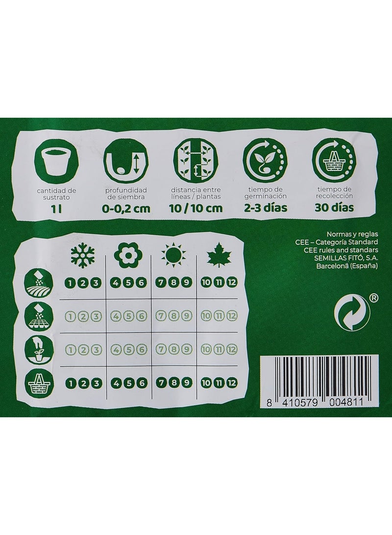 Euro Garden Cat Grass – Natural, Fast-Growing Grass for Cats to Chew, Promote Digestion & Reduce Hairballs - Image 4