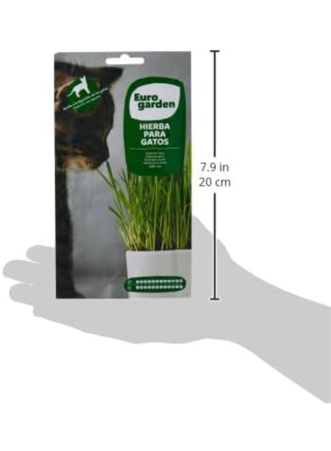 Euro Garden Cat Grass – Natural, Fast-Growing Grass for Cats to Chew, Promote Digestion & Reduce Hairballs - Image 3