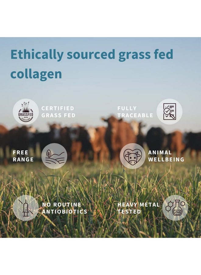 Igennus Healthcare Nutrition - Pure & Essential 100% Grass Fed Bovine Collagen Powder Advanced Hydrolyzed Collagen Peptides Collagen Types 1 2 & 3 Nongmo Free Range Gluten & Dairy Free Easy Mix 40 Servings - Image 1
