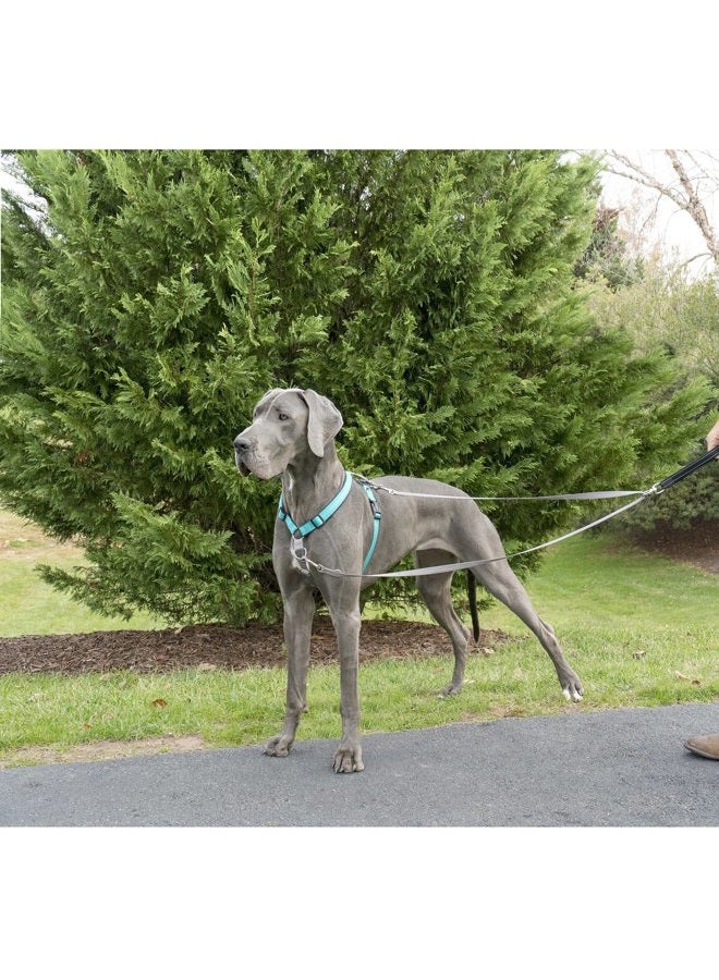 PetSafe Two Point Control Leash, Padded and Reflective Nylon Leash Converts to Single Leash, Works with 3in1 Harnesses, 3/4 in. Wide Leash - Image 3