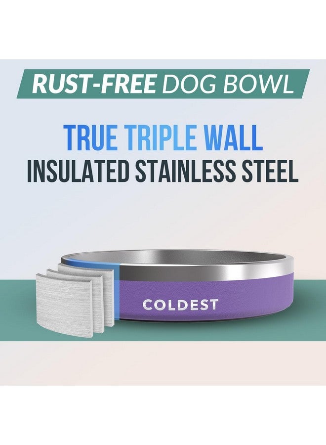 ذا كولديست ووتر وعاء طعام للكلاب - مصنوع من معدن مقاوم للصدأ، غير قابل للانزلاق، معزول بثلاث طبقات من الفولاذ المقاوم للصدأ - مقاوم للانسكاب ومتين - وعاء ماء للكلاب والقطط والحيوانات الأليفة، آمن للاستخدام في غسالة الأطباق (21 أونصة، لون أرجواني جلاكسي) - Image 3