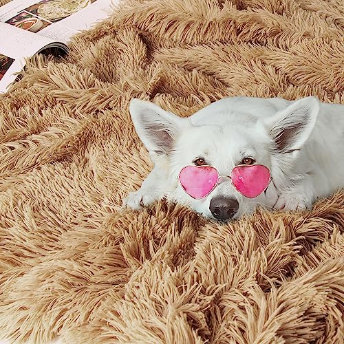 Tuddrom Decorative Extra Soft Faux Fur Throw Blanket 50" x 60",Solid Reversible Fuzzy Long Hair Shaggy Blanket,Fluffy Cozy Plush Fleece Comfy Microfiber Fur Blanket for Couch Sofa Bed,Camel - Image 5