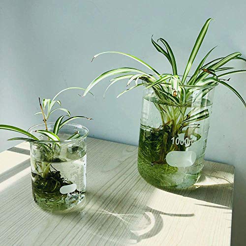 ULAB Scientific Glass Beaker Set, Vol. 500ml, 3.3 Borosilicate Griffin Low Form with Printed Graduation, Pack of 4, UBG1016 - Image 5