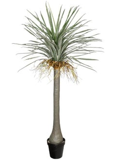 YATAI Yucca Palm Tree, 190cm Tall Lifelike Green Leaves Artificial Plants with Pots, Durable, Maintenance Free Artificial Tree, Lifelike Texture & Fade Resistant Fake Plants for Home Office Decor - pzsku/Z3F1DEC7B6239789DE9E9Z/45/_/1727279541/ad4a5884-a969-45a9-becf-2f9e6dc52755