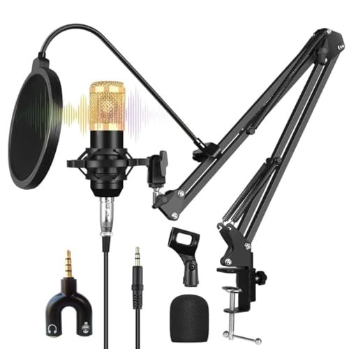 TECHBLAZE Professional Condenser Microphone Kit with Boom Arm Stand, Shock Mount, Pop Filter & XLR Cable – Studio Recording Mic for Podcast, YouTube, Live Streaming & Voiceover - Image 1
