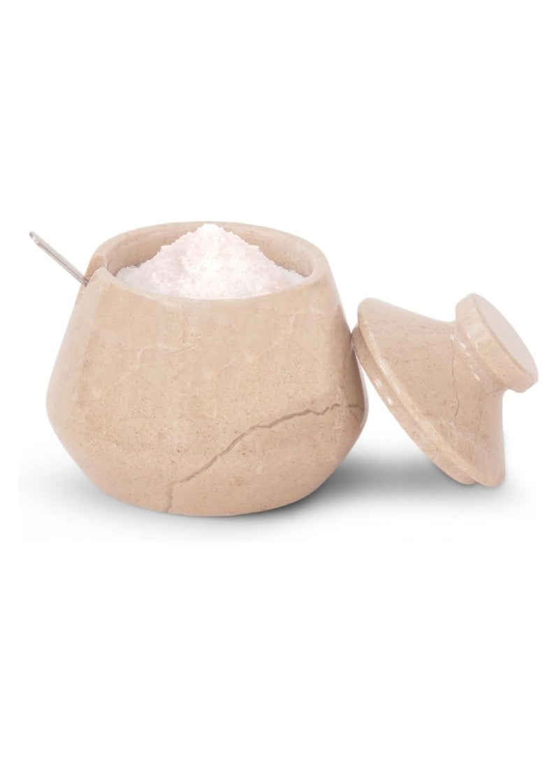 RADICALn Marble Tumbler Salt Cellar With Lid & Spoon Verona 3" Handmade Sugar Bowl Seasoning Containers - Salt Crock and Spices Bowl For Kitchen Storage Accessories  - Image 1