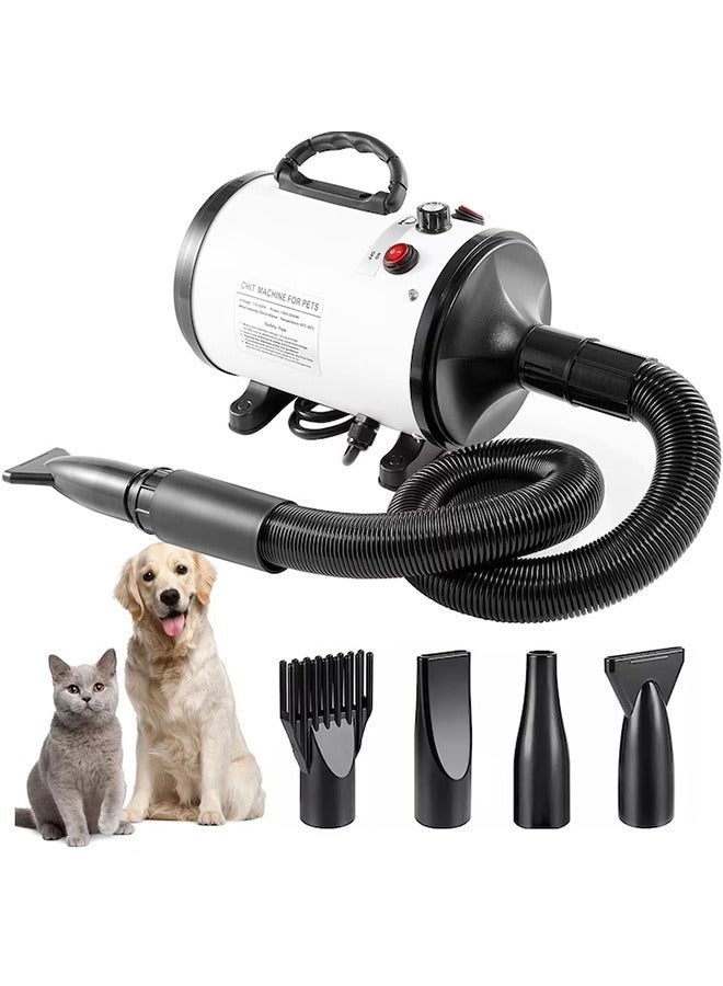 WALALLA Pet Water Blower Large Dog Hair Dryer High Power Low Noise Dog Hair Drying Box Cat Grooming - Image 1