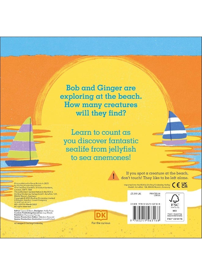 Guinea Pigs Go To The Beach - Image 2