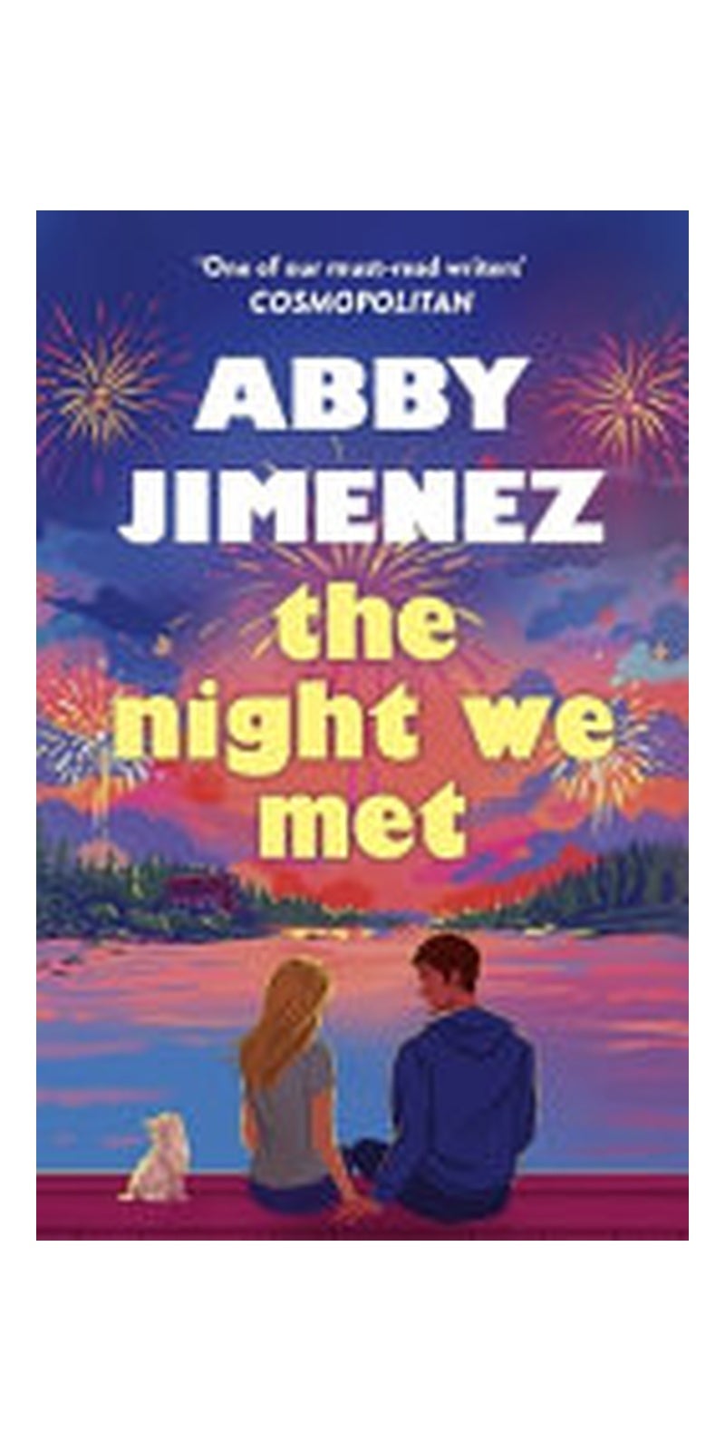 The Night We Met