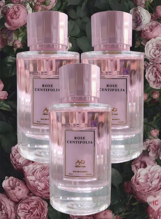فلفيت 3 قطع عطر روز سنتيفوليا للنساء 100 مل - Image 1