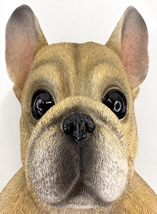 Top Brass French Bulldog Toilet Paper Holder - Realistic Resin Dog Statue, Funny Wall-Mounted Bathroom Tissue Dispenser, Holds Standard & Double Rolls, Novelty Frenchie Bathroom Decor - Image 5