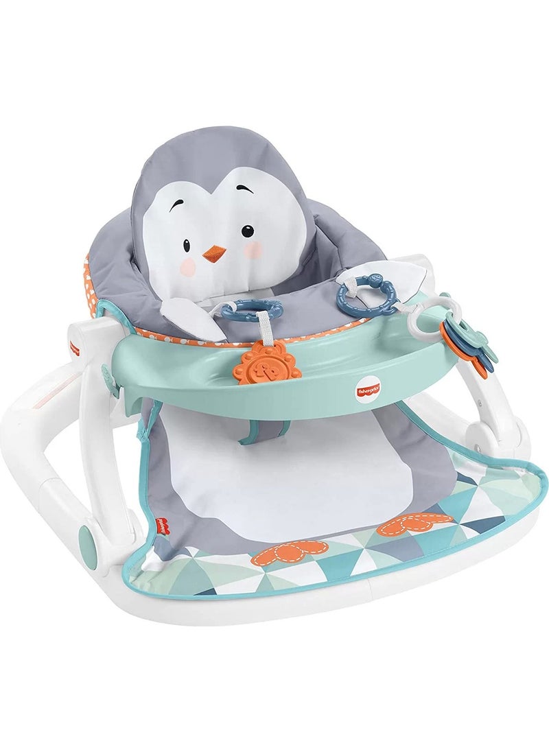 Fisher Price Baby Carrier with Tray HBF27 - pzsku/Z3F21D80D41B0004EFEC7Z/45/_/1736993492/9d1878bb-768f-4f3c-922e-802487e824d2