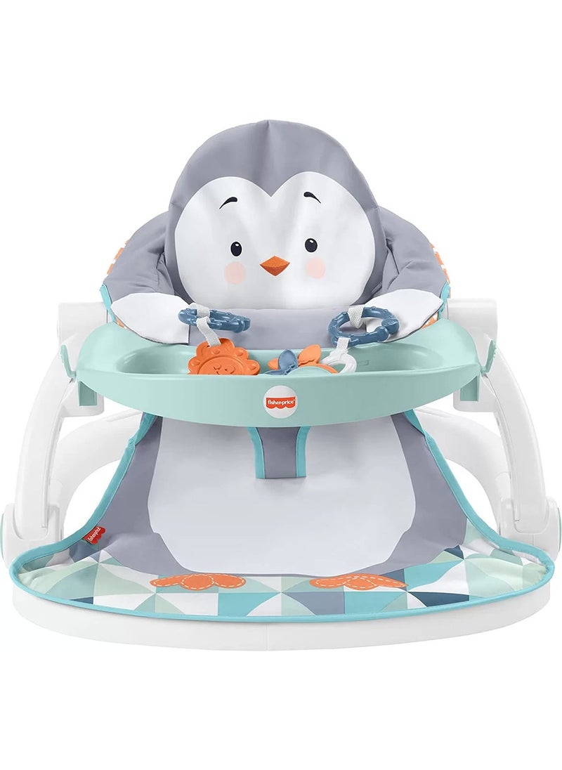 Fisher Price Baby Carrier with Tray HBF27 - pzsku/Z3F21D80D41B0004EFEC7Z/45/_/1736993494/086cb37f-d344-4ef6-9721-1d75f235087c