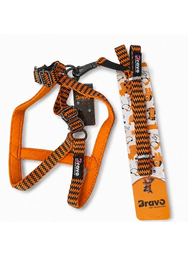 Bravo Nylon Adjustable Dog Harness and Leash Set, Orange and Black - Image 1