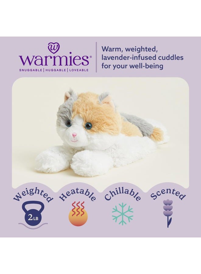 Warmies حيوانات محشوة صغيرة قابلة للتسخين بالميكروويف ووزنها، قطة كاليكو - دمية محشوة مدفأة للدفء والراحة - ألعاب محشوة ناعمة لطيفة للبالغين والأطفال (الأولاد، البنات، الرضع والأطفال الصغار) - Image 2