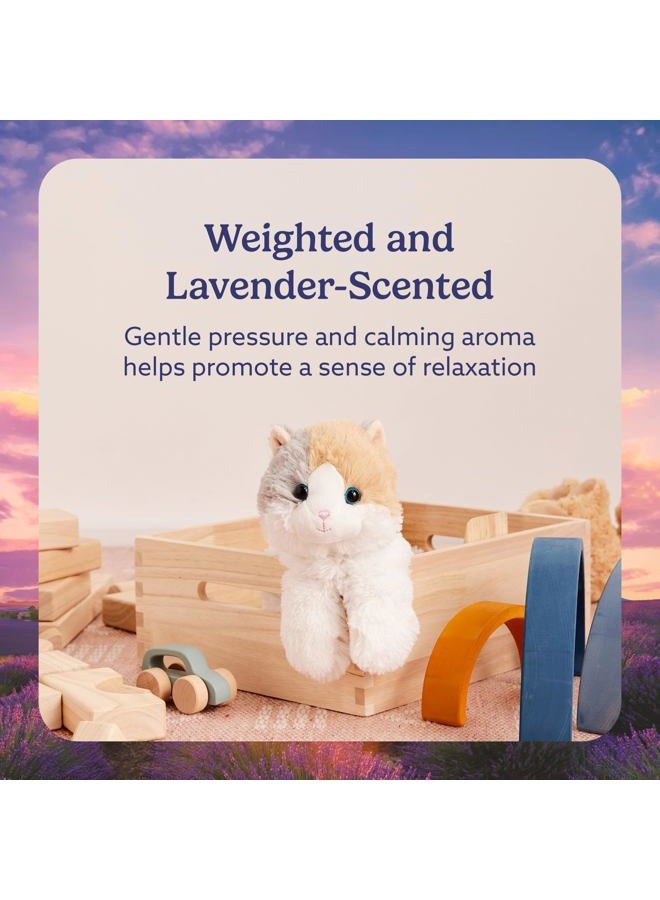 Warmies حيوانات محشوة صغيرة قابلة للتسخين بالميكروويف ووزنها، قطة كاليكو - دمية محشوة مدفأة للدفء والراحة - ألعاب محشوة ناعمة لطيفة للبالغين والأطفال (الأولاد، البنات، الرضع والأطفال الصغار) - Image 3