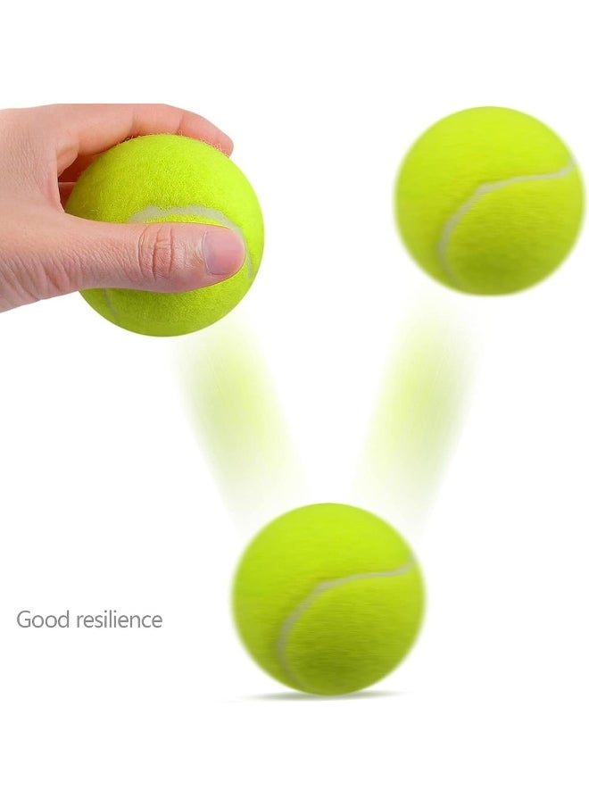 Biella 3Pcs Tennis Balls - Training Ball For Dogs - Super Bounce For Beginner Cricket Training Practice  - Image 2