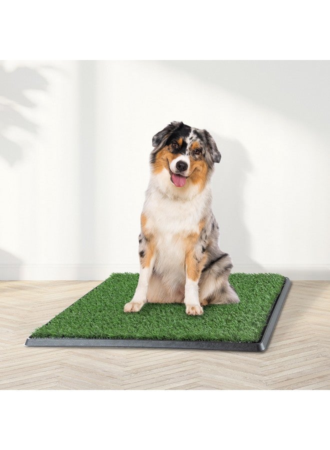 PETMAKER Artificial Grass Puppy Pee Pad for Dogs and Small Pets - 20x25 Reusable 4-Layer Training Potty Pad with Tray - Dog Housebreaking Supplies by PETMAKER - Image 2