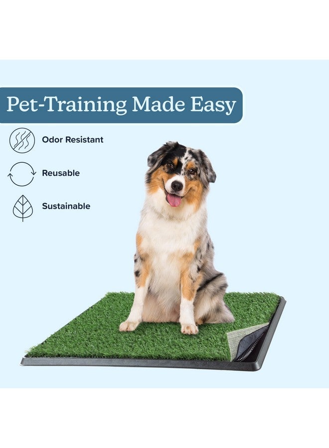 PETMAKER Artificial Grass Puppy Pee Pad for Dogs and Small Pets - 20x25 Reusable 4-Layer Training Potty Pad with Tray - Dog Housebreaking Supplies by PETMAKER - Image 4