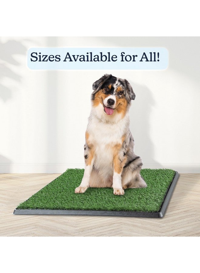 PETMAKER Artificial Grass Puppy Pee Pad for Dogs and Small Pets - 20x25 Reusable 4-Layer Training Potty Pad with Tray - Dog Housebreaking Supplies by PETMAKER - Image 3