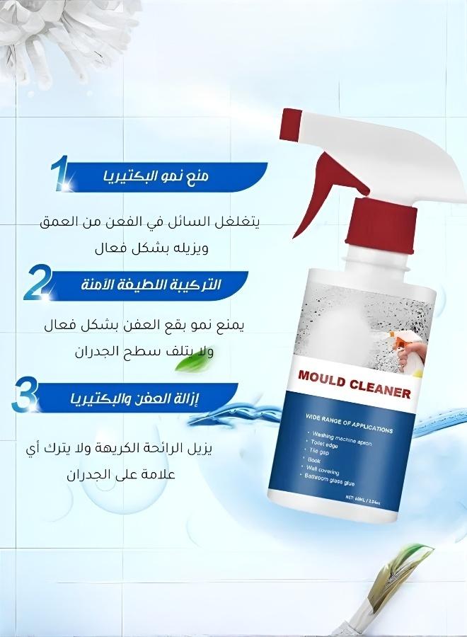 Powerful Mold and Mildew Stain Remover for Walls and Floors - Image 3