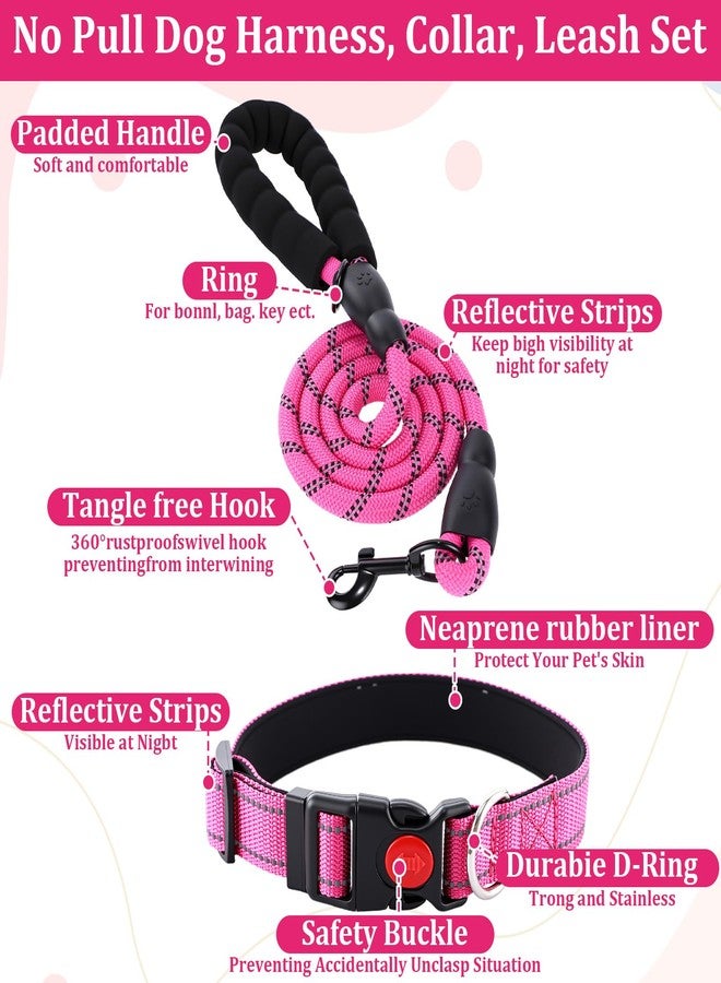 PullCrease 30 Pcs Puppy Supplies Starter Kit for Small Dogs Essentials Include No Pull Dog Harness, Collar, Leash Set, Toys, Bowl, Water Bottles, Pet Grooming Kit, Puppy Accessories for Welcome Gift - Image 4