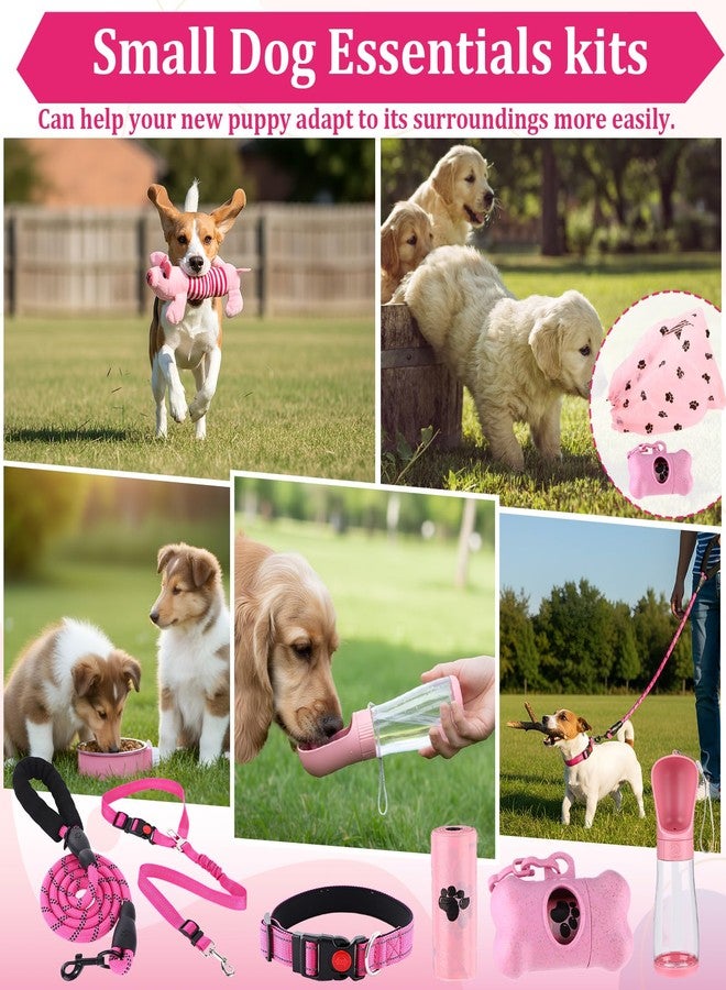 PullCrease 30 Pcs Puppy Supplies Starter Kit for Small Dogs Essentials Include No Pull Dog Harness, Collar, Leash Set, Toys, Bowl, Water Bottles, Pet Grooming Kit, Puppy Accessories for Welcome Gift - Image 5