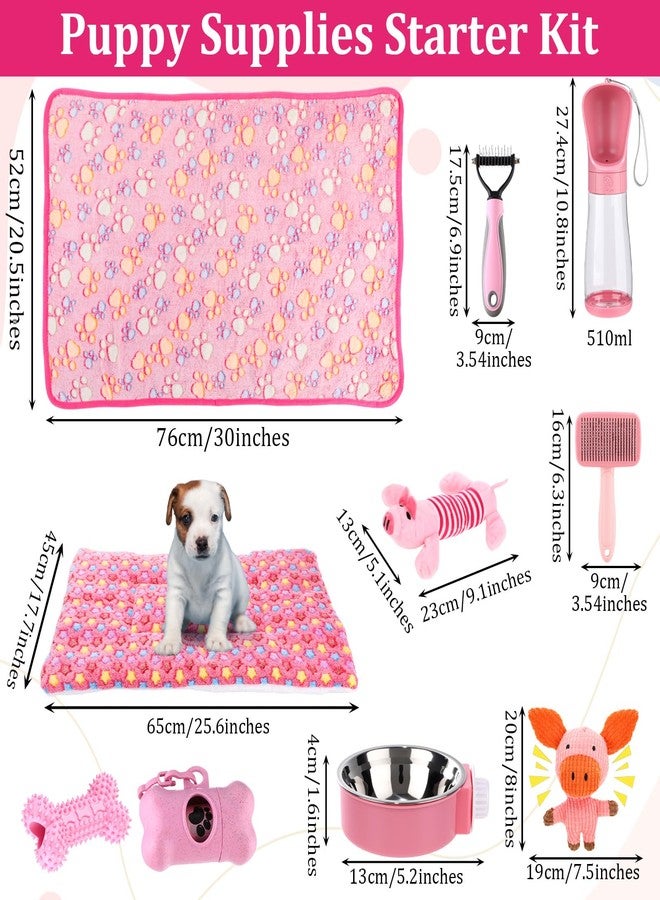 PullCrease 30 Pcs Puppy Supplies Starter Kit for Small Dogs Essentials Include No Pull Dog Harness, Collar, Leash Set, Toys, Bowl, Water Bottles, Pet Grooming Kit, Puppy Accessories for Welcome Gift - Image 3