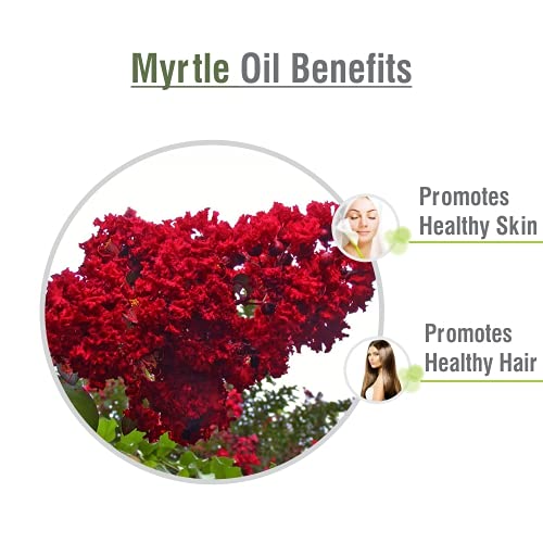 CRYSALIS Crysalis Myrtle Myrtus Oil 100 Pure Natural Undiluted Essential Oil Organic Standard It Is Perfect For Massage On Face Aromatherapy Oil 15ML With Dropper - Image 3