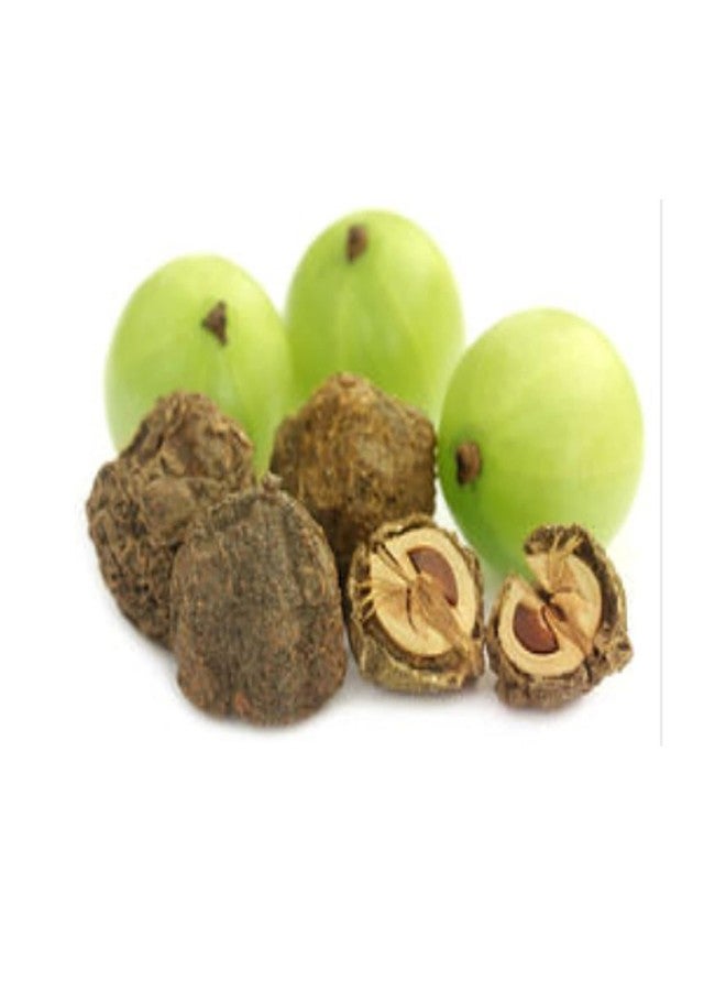Bague Amla Reetha Shikakai Natural Organic Whole Dried Raw Form Combo Pack Chemical Free Soapnuts aritha nuts Acacia Concinna ground ((reeta, shikakai, amla (Each 200 grams)) - Image 5