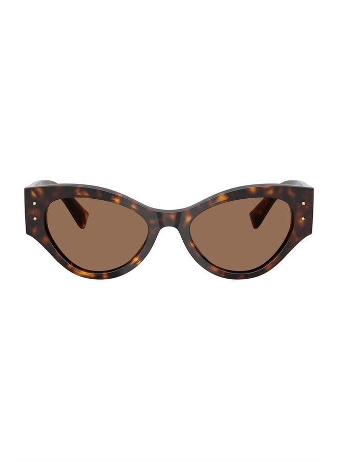 Woman BUTTERFLY  SUNGLASSES- DG 4480 - lense size:53mm - HAVANA