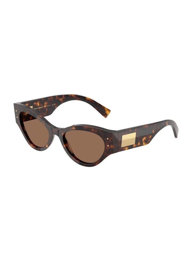 Woman BUTTERFLY  SUNGLASSES- DG 4480 - lense size:53mm - HAVANA