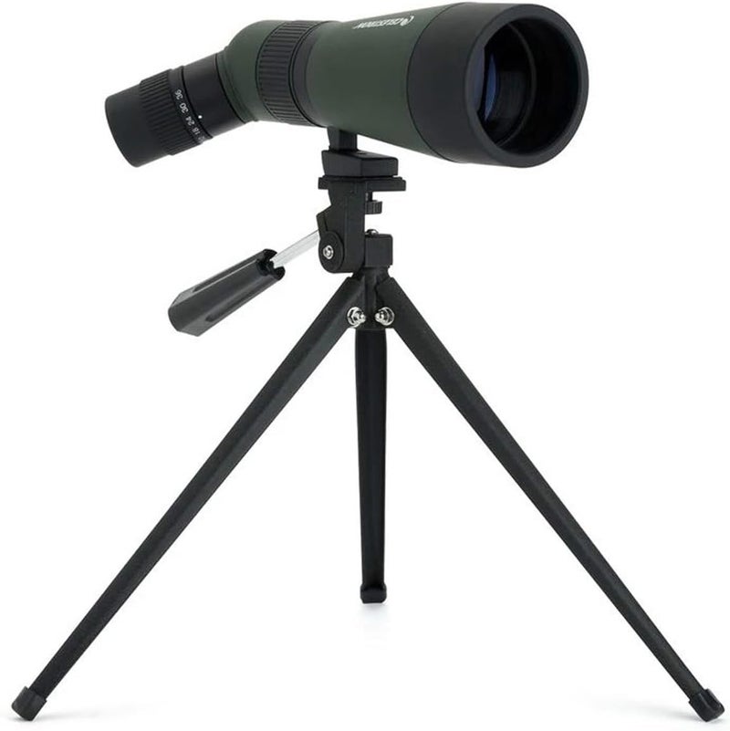 Celestron Landscout 12-36X60MM Angled Zoom Spotting Scope with Table-Top Tripod and Smartphone Adapter - Image 4