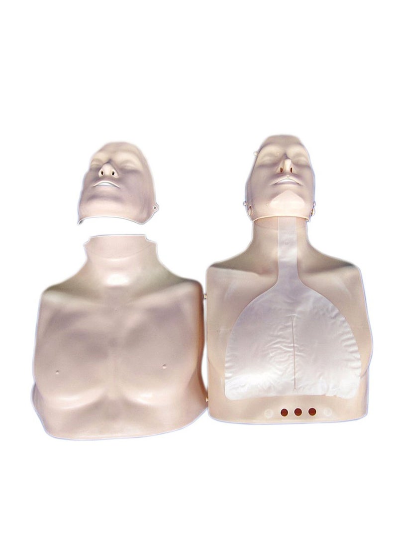 جنرال دكتور - دمية بالغ للتدريب على CPR - Image 1