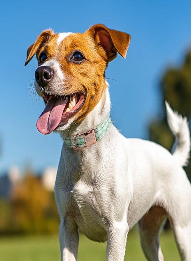 كيوكيو بيتس طوق كلاب عاكس من QQPETS مزود بإبزيم معدني، طوق نايلون قابل للتعديل، هدية مثالية للكلاب الصغيرة والمتوسطة والكبيرة من الجنسين. - Image 2