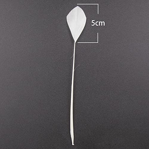 FEARAFTS White Goose Feathers for Hats Making Fascinators Decoration Pack of 50 (White) - Image 4