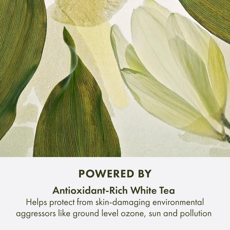 Origins A Perfect World Antioxidant Moisturizer | Keeps Skin Looking Youthful | With White Tea, 1.7 Fl Oz - Image 5