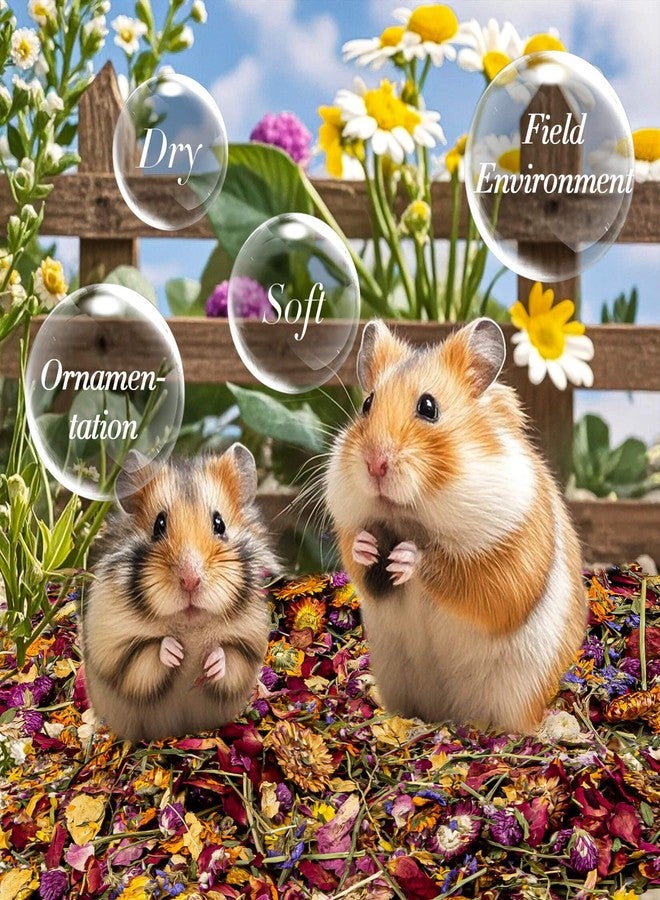RAINFLOW 150G Hamster Bedding - Hamster Flowers & Herbs Hamster Bedding Dwarf Hamster Bedding Gerbil Bedding Robo Hamster Bedding Katy Hamster Bedding Hamster Habitat Decor Hamster Forage - Image 2