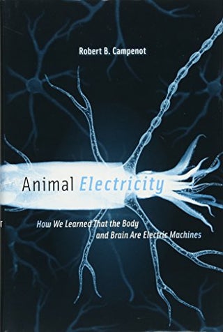 Animal Electricity: How We Learned That the Body and Brain Are Electric Machines - pzsku/Z3F30CE57EBE69FDF14C5Z/45/_/1738143009/cddf6e94-aaab-45e8-b259-574078225fd6